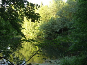 Старинный пруд в Григорове. Фото автора.